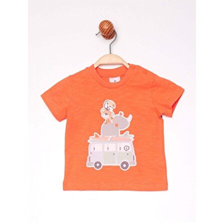 Çimpa Panolino Otobüs Baskılı Tshirt CMP-PL194311854