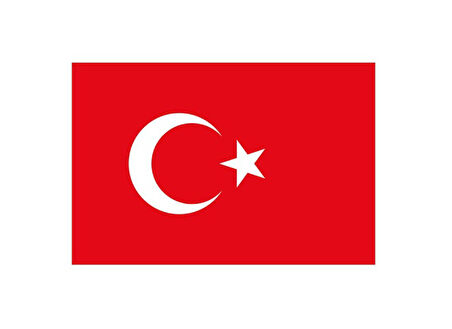 Türk Bayrağı Bayrak Yapışkanlı Çıkartma 12X17cm - 10 adet