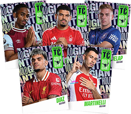 Panini Fifa Top Class Premier League 2025 Futbolcu Kartları 7 Paket (56 Kart)