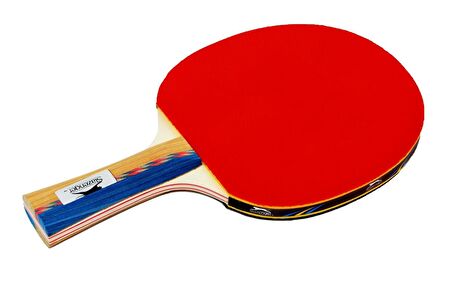 Slazenger Master ITTF Onaylı Masa Tenis Raketi (6 Star)