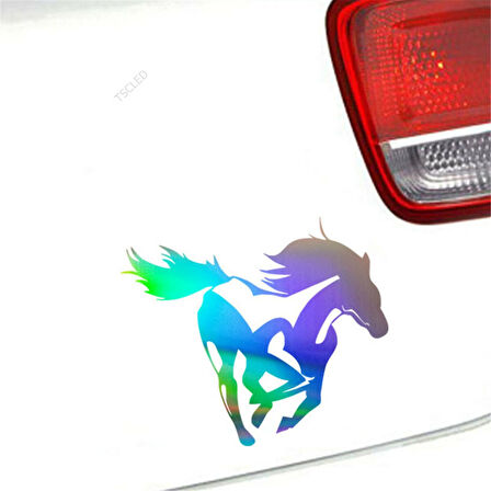 At Araba Sticker Yapıştırması 1