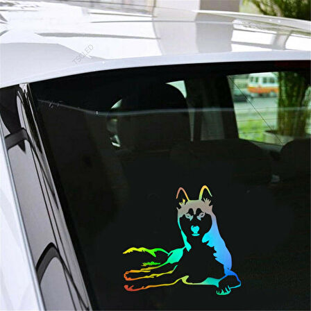 Husky Köpek Araba Sticker Yapıştırması 1