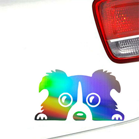 Komik Bakmak Pug Yavru  Köpek Sticker Yapıştırma 1