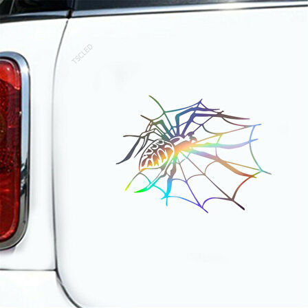 Örümcek Araba Sticker Yapıştırması 1