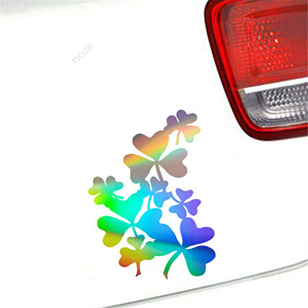 Yonca Araba Sticker Yapıştırması 1