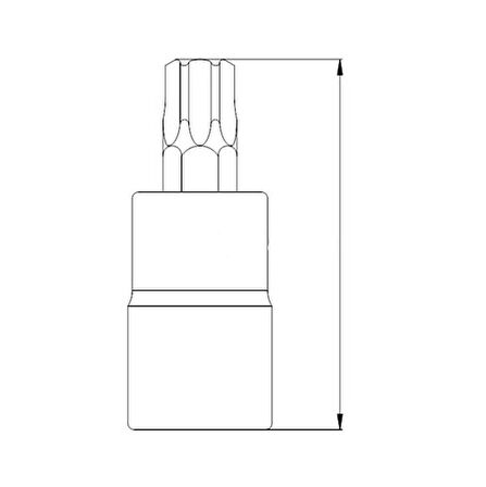 Izeltaş 1113061245 T 45 1/2" Lokmalı Star (Tor X) Uç, Krom, T45