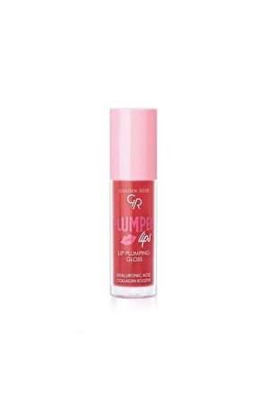 Golden Rose Lip Plumping Gloss 212 Dolgunlaştırıcı Dudak Parlatıcısı