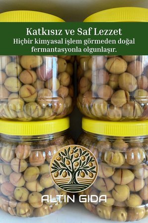 1 KG Yeşil Kırma Zeytin (Edremit - 1 Numara)