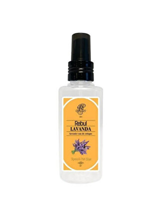 Rebul Lavanda (Lavanta) Edc Kolonya 250ml Cam Şişeli, 125ml - 50ml Pet Sprey Şişeli 3'lü Set (9 ürün