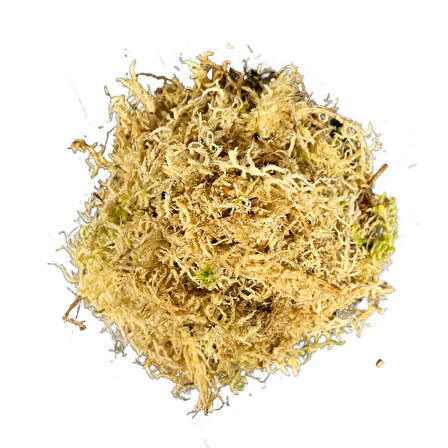Sphagnum Yosunu 10 LT