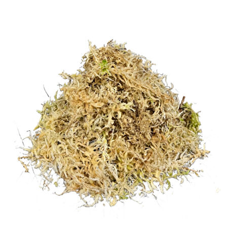 Sphagnum Yosunu 10 LT