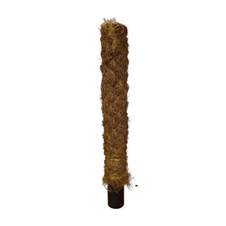 Yosun Bitki Destek Çubuğu (40 cm)