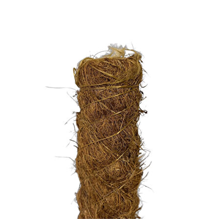 Yosun Bitki Destek Çubuğu (80 cm)