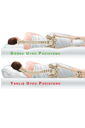 Varol Promed Ortopedik Boyun Yastığı
