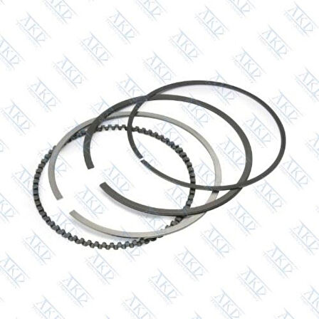 Opel Motor Segman Y13dt Z13dt 1.3cdti Corsa C Astra H Combo 69.60mm Std (2.0x1.5x2.0) - Akd 222-3564-00