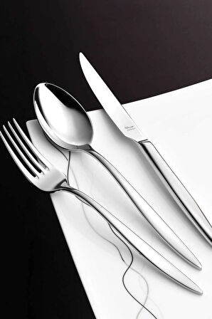 Hisar Mercury Exclusıve 84 Parça Çatal Kaşık Bıçak Takımı Set Kutulu