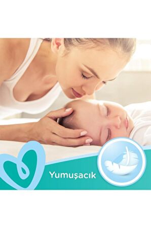 Prima Alkolsüz-Parfümsüz 12 x 52 Yaprak 12 Paket Islak Mendil