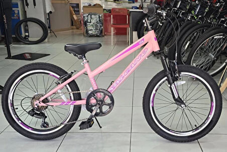 Salcano Lily 20 V Fren 6 Vites 20 Jant Kız Çocuk Bisikleti Pudra Pembe Mor