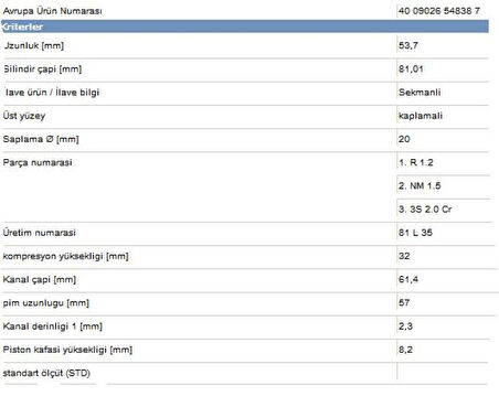 Vag Piston+segman (81,01mm Std) A3 A4 Cordoba İbiza Toledo Octavıa Golf III IV Beetle Passat Vento Akl A - Yenmak 31-04307-000