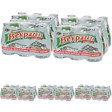 Doğal Maden Suyu 24 x 200ml