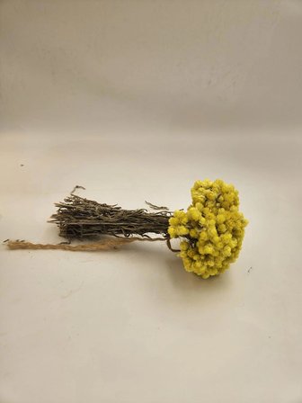 Otak yayla çiçeği 25 gr