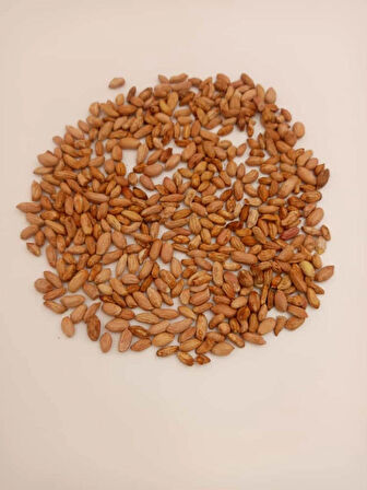 Otak Yer Fıstığı Çiğ Mini 1kg