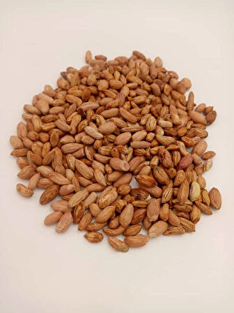 Otak Yer Fıstığı Çiğ Mini 1kg