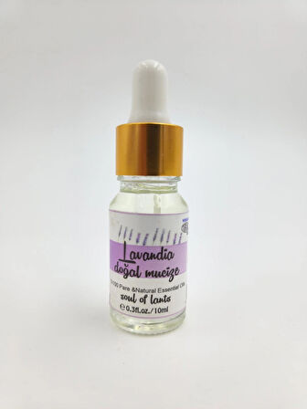 OTAK LAVANTA YAĞI 10ml