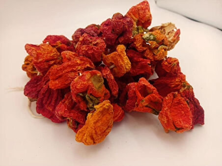 Otak Biberkurusu 1 bağ