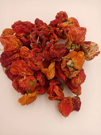 Otak Biberkurusu 1 bağ