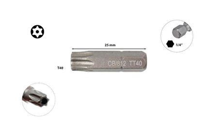 Ceta Form T40 x 25 mm Delikli Torx Bits Uç CB/812T