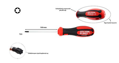 Ceta Form T25 x 100 mm Torx Tornavida F18-025-100