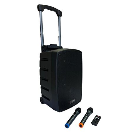 GoldAudio PA2312-EE Portatif Taşınabilir Ses Sistemi 300Watt 2xEl Telsiz Mikrofonlu