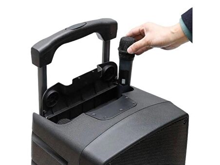 GoldAudio PA2312-EE Portatif Taşınabilir Ses Sistemi 300Watt 2xEl Telsiz Mikrofonlu