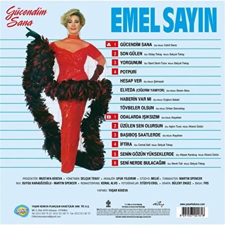 Emel Sayın- Gücendim Sana (Plak)  