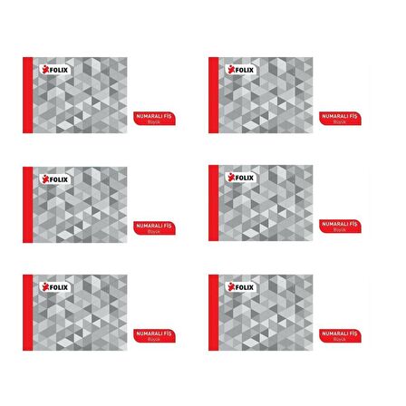 Folix Numaralı Fiş Büyük 100 Yaprak 6'LI