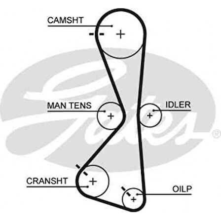 Mitsubıshı Triger Kayısı (122x200) Mitsubıshı Galant Grandıs Outlander 2.4 16v 03-> - Gates 5609xs
