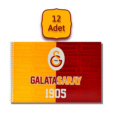 Galatasaray 17x24 15 Yaprak Karton Kapak Spiralli Resim Defteri 12 Adet