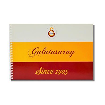Galatasaray 17x24 15 Yaprak Karton Kapak Spiralli Resim Defteri 12 Adet