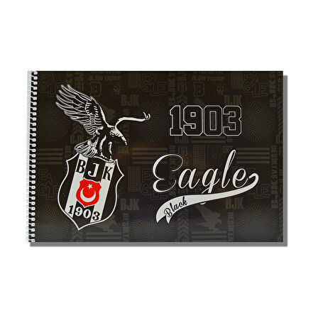 Beşiktaş 17x24 15 Yaprak Karton Kapak Spiralli Resim Defteri 12 Adet