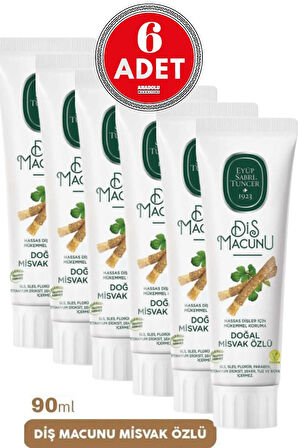 Doğal Diş Macunu 90 ml Misvak X6 Adet