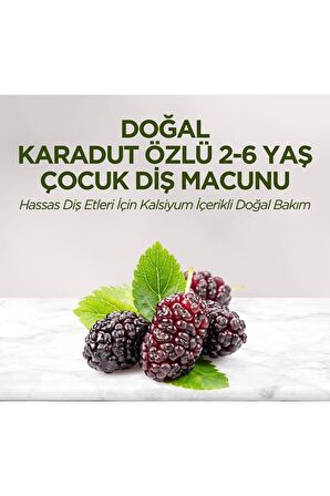 Doğal Karadut Özlü 2-6 Yaş Çocuk Diş Macunu 60 Ml 5 Adet