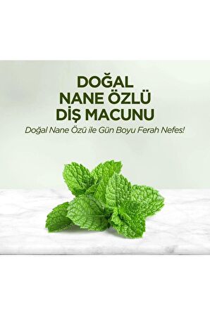 Doğal Nane Özlü Diş Macunu 90 ml 6 Adet