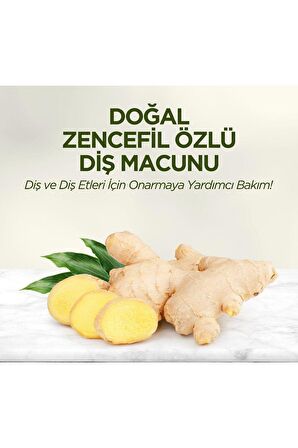 Doğal Zencefil Özlü Diş Macunu 90 ml 12 Adet