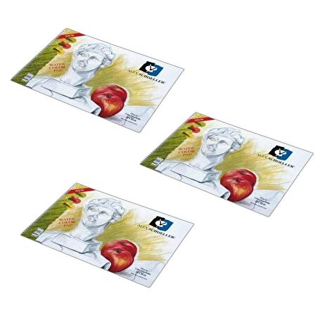 Alex Resim Defteri 50X70 Spr. 120 Gr 20 Yp 2'Lİ