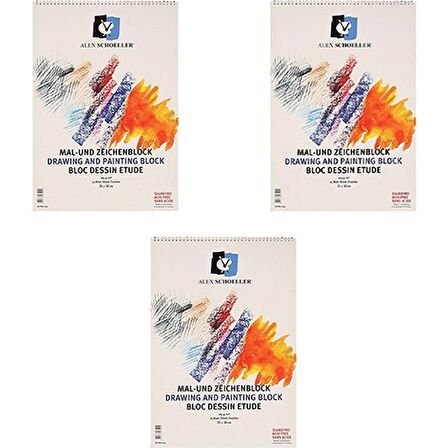 Spiralli Resim Defteri 15 Yaprak 165 gr 35 x 50 cm 3'lü