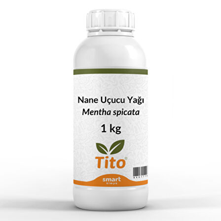 Nane Uçucu Yağı Mentha spicata 1 kg