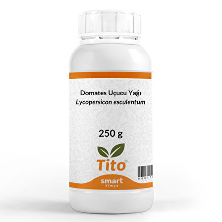 Domates Uçucu Yağı Lycopersicon esculentum 250 g