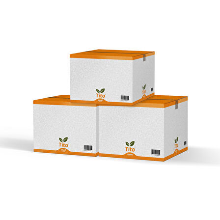 Toz Fesleğen Aroması 58703 20 kg