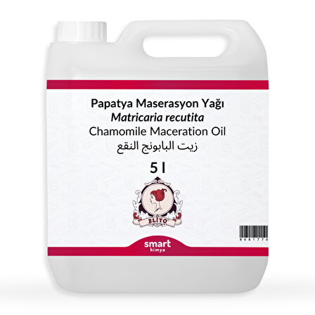 Papatya Maserasyon Yağı Matricaria recutita 5 litre